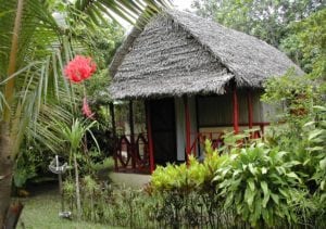 Extérieur jardin bungalow familiale Lakana Hotel