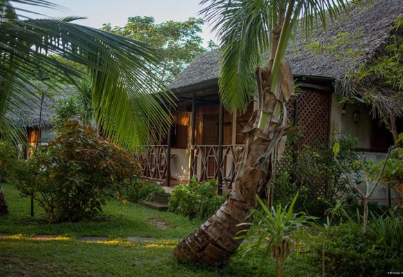 Bungalow dans le jardin