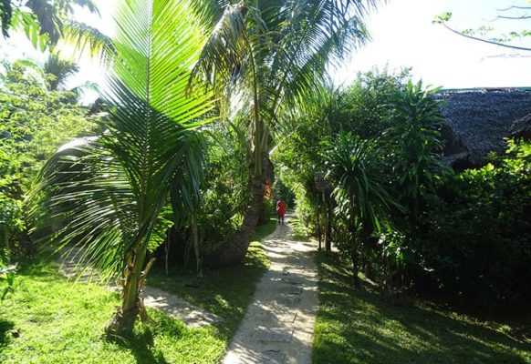 chemin-jardin